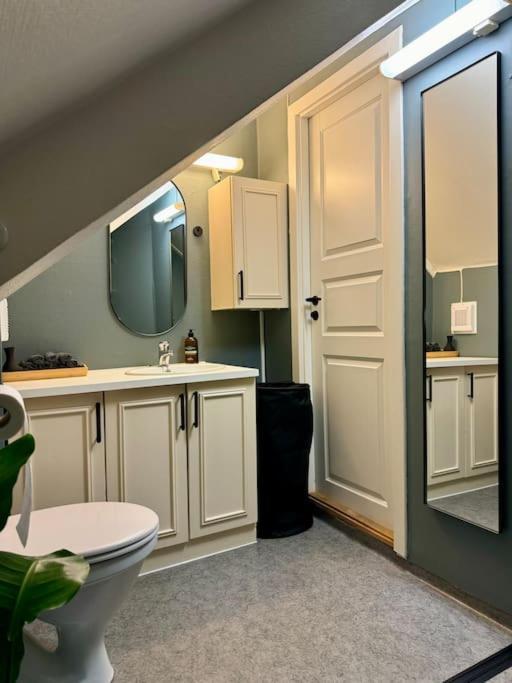 Urban Loftleilighet Apartment Trondheim