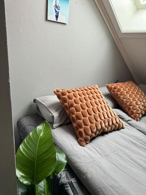 Urban Loftleilighet Apartment Trondheim