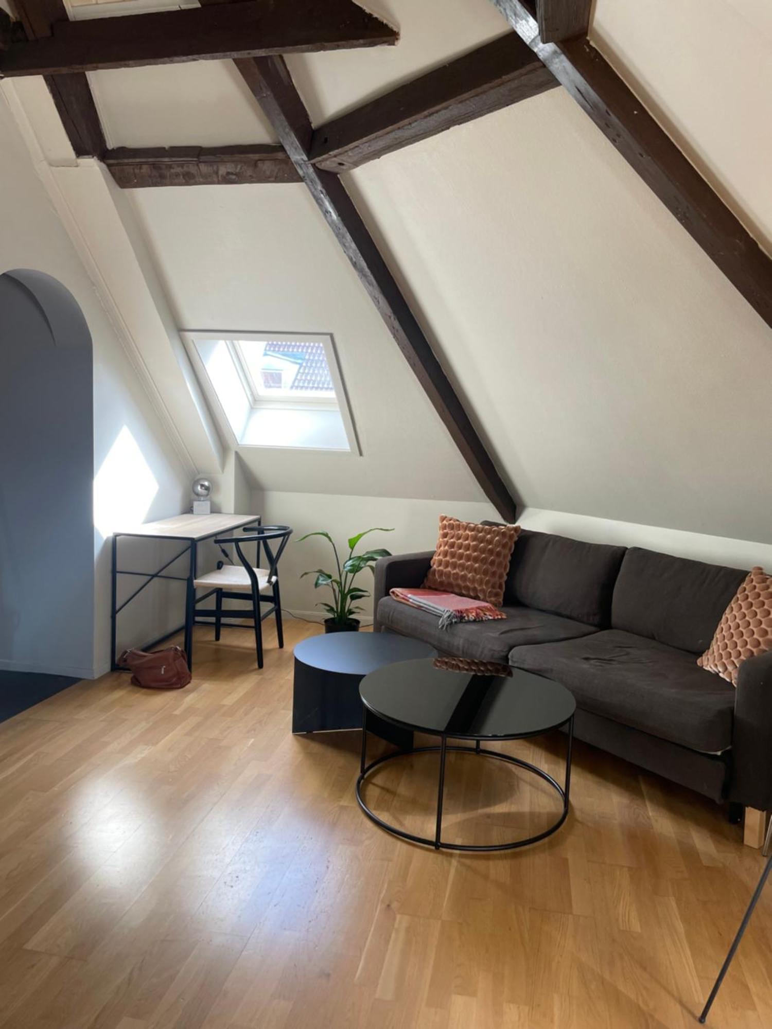 Urban Loftleilighet